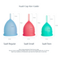 Menstrual Cup by Saalt