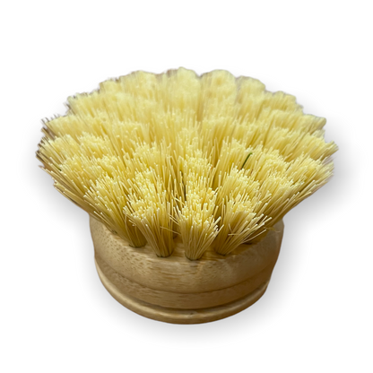 Dish Brush | Long Handle