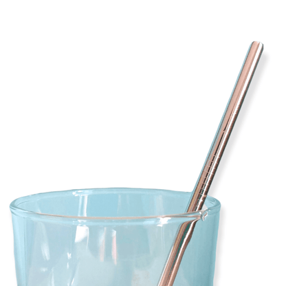 Straw | Metal | Regular - Other Eco - Goods